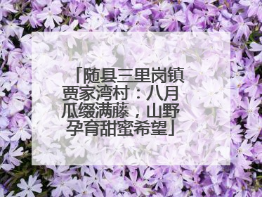随县三里岗镇贾家湾村：八月瓜缀满藤，山野孕育甜蜜希望