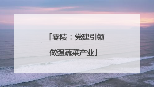 零陵：党建引领 做强蔬菜产业