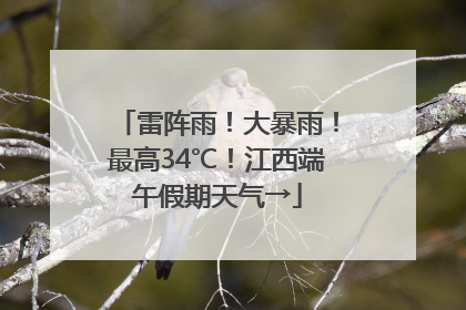 雷阵雨！大暴雨！最高34℃！江西端午假期天气→