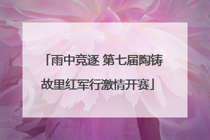 雨中竞逐 第七届陶铸故里红军行激情开赛