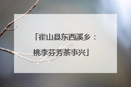 霍山县东西溪乡：桃李芬芳茶事兴