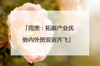 霞美：拓展产业优势内外贸双翼齐飞