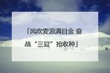 风吹麦浪满目金 奋战“三夏”抢收种