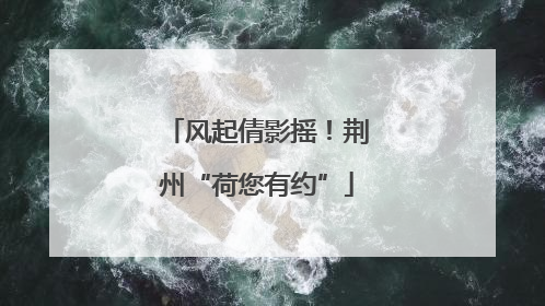 风起倩影摇！荆州“荷您有约”