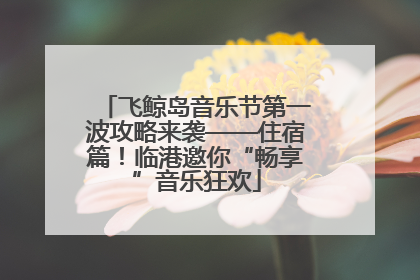 飞鲸岛音乐节第一波攻略来袭——住宿篇！临港邀你“畅享”音乐狂欢
