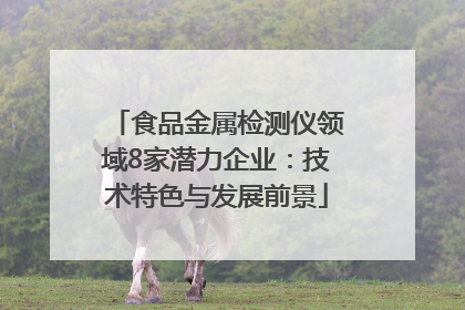 食品金属检测仪领域8家潜力企业：技术特色与发展前景