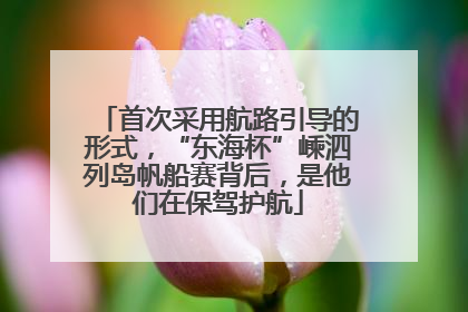 首次采用航路引导的形式，“东海杯”嵊泗列岛帆船赛背后，是他们在保驾护航