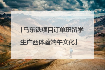 马东铁项目订单班留学生广西体验端午文化