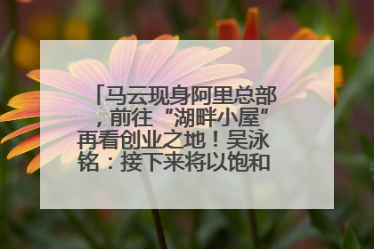 马云现身阿里总部，前往“湖畔小屋”再看创业之地！吴泳铭：接下来将以饱和式投入的打法，聚焦于几大核心战役