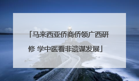 马来西亚侨商侨领广西研修 学中医看非遗谋发展