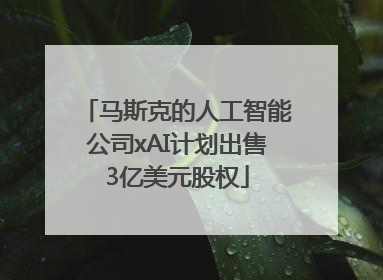 马斯克的人工智能公司xAI计划出售3亿美元股权