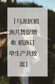 马龙区稻渔共舞促增收 稻渔订单生产共致富