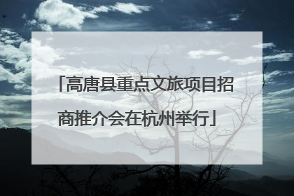 高唐县重点文旅项目招商推介会在杭州举行