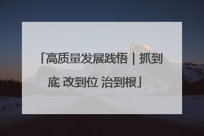 高质量发展践悟｜抓到底 改到位 治到根