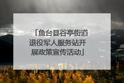 鱼台县谷亭街道退役军人服务站开展政策宣传活动
