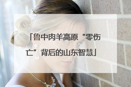 鲁中肉羊高原“零伤亡”背后的山东智慧