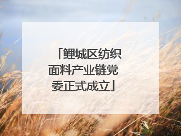 鲤城区纺织面料产业链党委正式成立