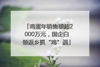 鸡蛋年销售额超2000万元，国企白领返乡抓“鸡”遇