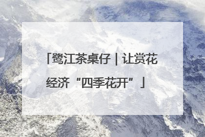鹭江茶桌仔｜让赏花经济“四季花开”
