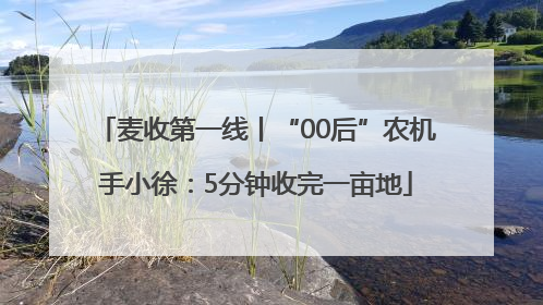 麦收第一线丨“00后”农机手小徐：5分钟收完一亩地