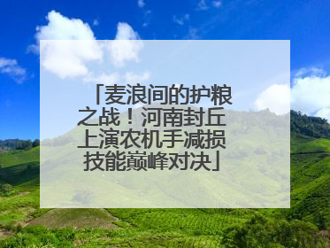 麦浪间的护粮之战！河南封丘上演农机手减损技能巅峰对决