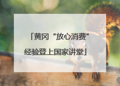 黄冈“放心消费”经验登上国家讲堂