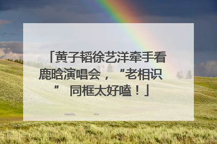 黄子韬徐艺洋牵手看鹿晗演唱会，“老相识” 同框太好嗑！