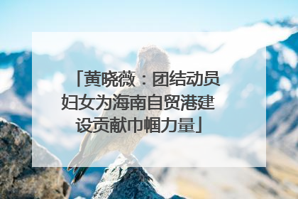 黄晓薇：团结动员妇女为海南自贸港建设贡献巾帼力量