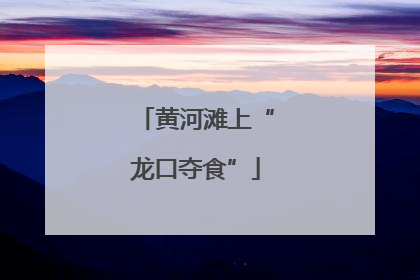 黄河滩上“龙口夺食”