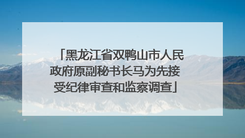 黑龙江省双鸭山市人民政府原副秘书长马为先接受纪律审查和监察调查