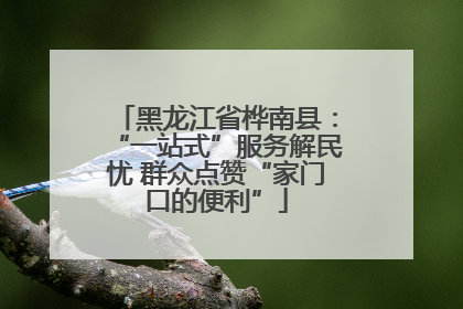 黑龙江省桦南县：“一站式”服务解民忧 群众点赞“家门口的便利”