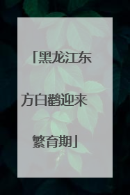 黑龙江东方白鹳迎来繁育期