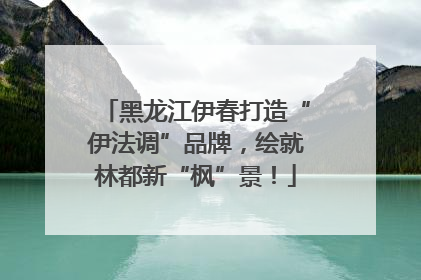 黑龙江伊春打造“伊法调”品牌，绘就林都新“枫”景！