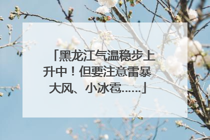 黑龙江气温稳步上升中！但要注意雷暴大风、小冰雹……