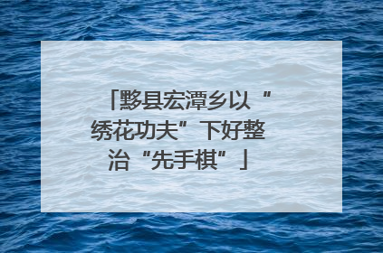 黟县宏潭乡以“绣花功夫”下好整治“先手棋”