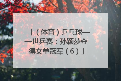 （体育）乒乓球——世乒赛：孙颖莎夺得女单冠军（6）