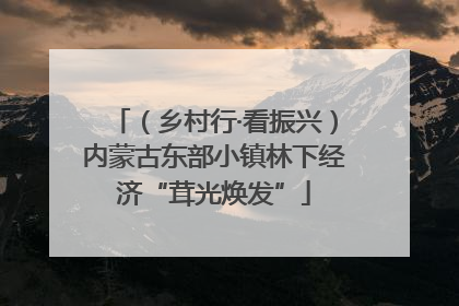 （乡村行·看振兴）内蒙古东部小镇林下经济“茸光焕发”