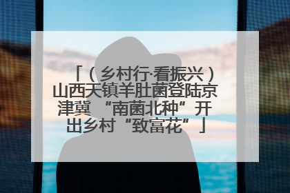 （乡村行·看振兴）山西天镇羊肚菌登陆京津冀 “南菌北种”开出乡村“致富花”