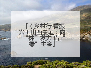 （乡村行·看振兴）山西襄垣：向“林”发力 借“绿”生金