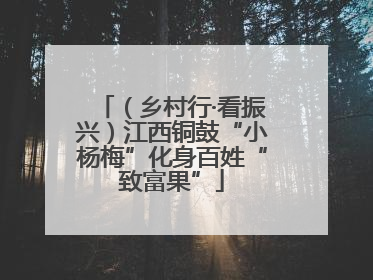 （乡村行·看振兴）江西铜鼓“小杨梅”化身百姓“致富果”