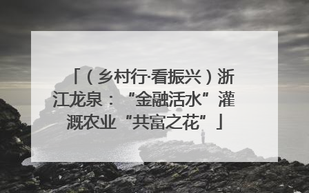 （乡村行·看振兴）浙江龙泉：“金融活水”灌溉农业“共富之花”