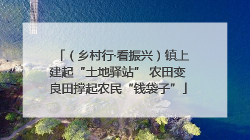 （乡村行·看振兴）镇上建起“土地驿站” 农田变良田撑起农民“钱袋子”