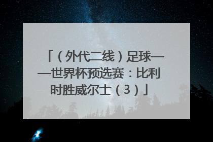 （外代二线）足球——世界杯预选赛：比利时胜威尔士（3）