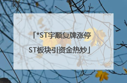 *ST宇顺复牌涨停 ST板块引资金热炒