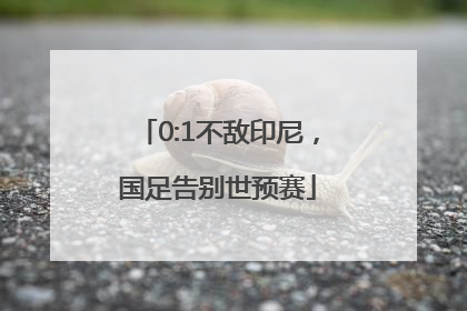 0:1不敌印尼，国足告别世预赛