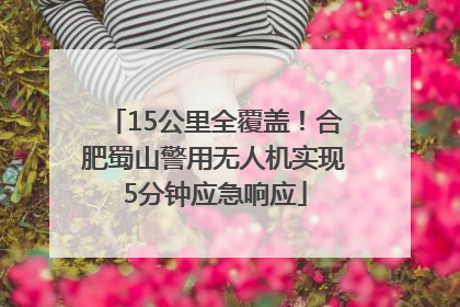 15公里全覆盖！合肥蜀山警用无人机实现5分钟应急响应