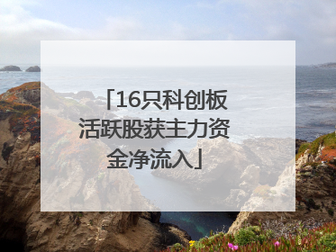 16只科创板活跃股获主力资金净流入