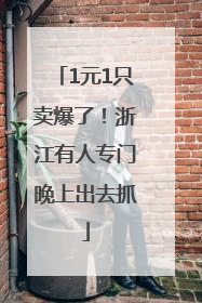 1元1只卖爆了！浙江有人专门晚上出去抓