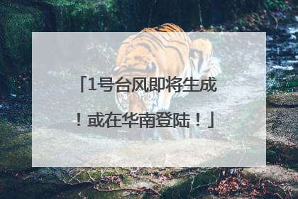 1号台风即将生成！或在华南登陆！