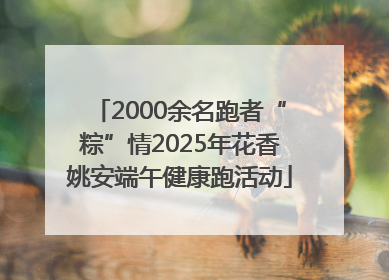 2000余名跑者“粽”情2025年花香姚安端午健康跑活动